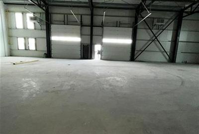 Hala NOUA, 707 mp, parc logistic Miroslava - 1