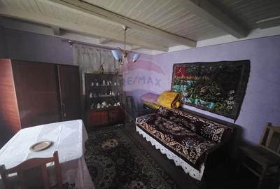Casă / Vilă cu 4 camere de vânzare - 13