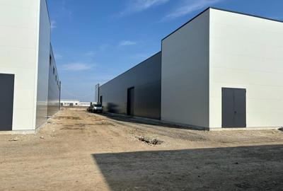 Hale de inchiriat Business Park Recon Mogosoaia 2 - 5