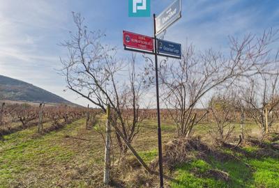 Casuță cu priveliște panoramică spre Cetatea Șiria - 30