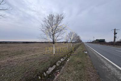 COMISION 0% Teren extravilan 1 ha | Recas - 1