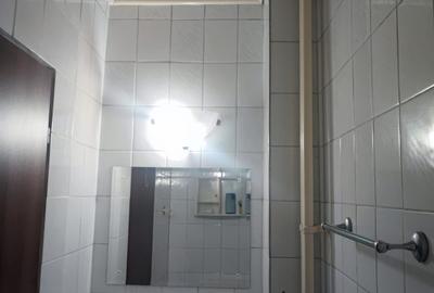 Drumul Taberei-b-dul Timisoara, intre Plaza si AFI, ap. 4 cam mobilat - 14