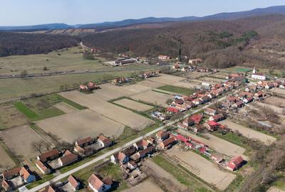 Loc de casă în Odvoș - Conop 3000mp - 24