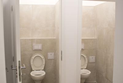 Închiriere spații de birouri - Dumbrăvița, str. Belgrad - 7