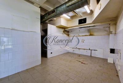 Spatiu comercial in Zorilor - 11