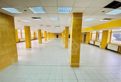 Spațiu industrial, de 1,200 mp, în Terezian