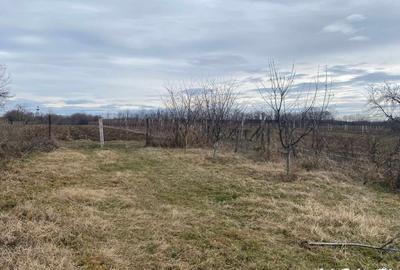 Casa situata in orasul Targu-Carbunesti , Localitatea Floresteni - 8