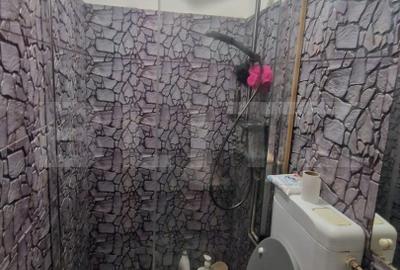 Garsoniera Centru Civic - cu baie si bucatarie vedere spre Tampa - 7