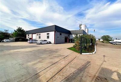 Vanzare depozit/hala/spatiu industrial - SERVICE AUTO Domnesti - Centura, ILFOV - 2