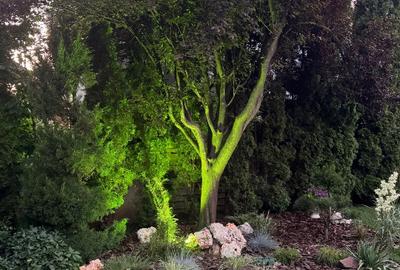 Casă de vânzare P+M i cartierul Alfa Land - 2