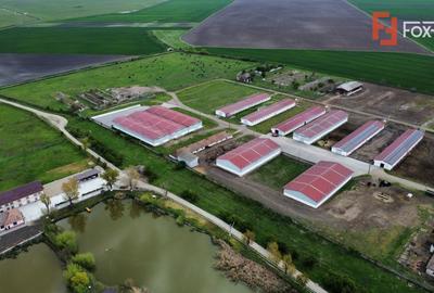 Teren intravilan cu suprafata de 58.340 mp, in Sanmartinul Sarbesc - 21