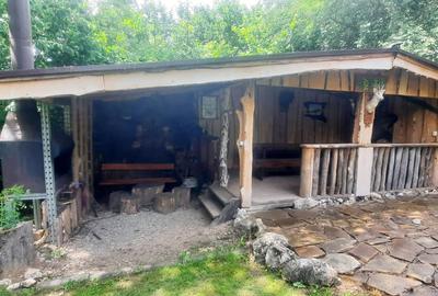 Casa de vacanta superba cu lac Rasnov-Glejerie - 10