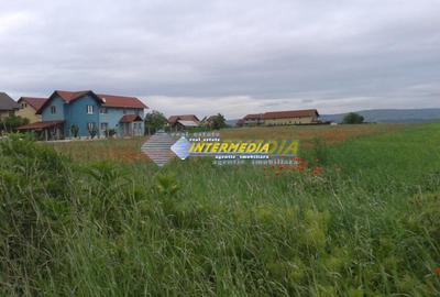 Teren Construcții intravilan de 8600 mp, în Cetate