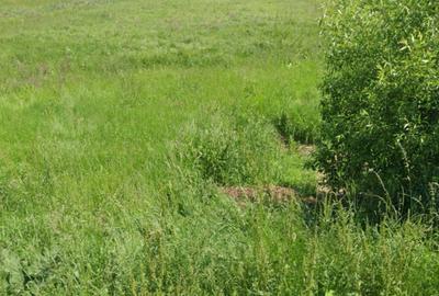 Teren extravilan de vânzare – Brăteni acces la Lac - 1