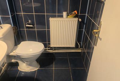 Inchiriez spatiu comercial cu destinatie de birouri in Deva, zona I. Creanga, - 9
