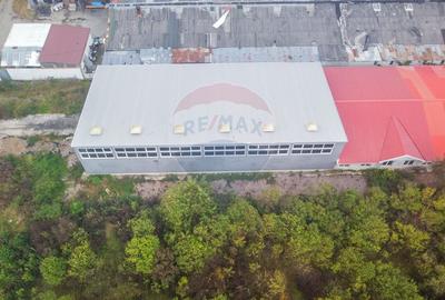 De vanzare – Hala industriala in Luna de Sus, Cluj - 7