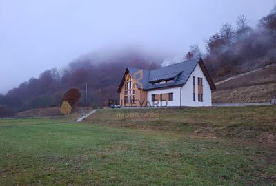 Proprietate cu potențial turistic în zona montană a Țării Lăpușului - 38