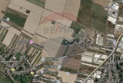 Teren intravilan 10.000 mp, Dragomiresti Vale | deschidere dubla - 8