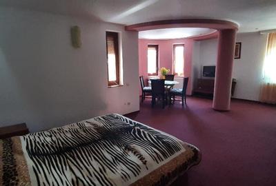 Casa de vacanta sau pensiune situata langa Cabana Trei Brazi Predeal - 14