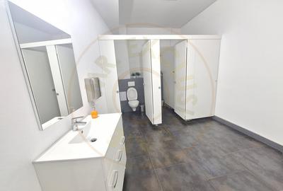 Spatiu Comercial Multifunctional Banat-CLASA A - 12