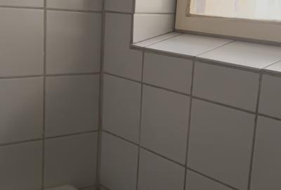 Vânzare apartament 3 camere decomandat - 4