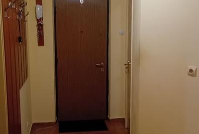 APARTAMENT METROU ZONA TINERETULUI - 17