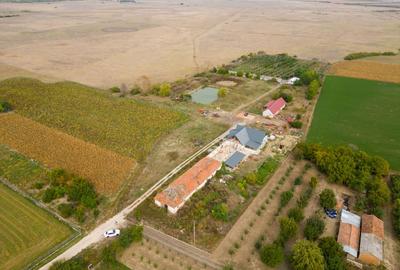 Teren 13.418 mp intravilan cu casă și 2 iazuri - 3