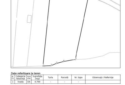 Teren construcții intravilan de 4700 mp, Baciu - Comision 0% - 5