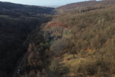 Poiană pentru cabana de vanzare intravilan Coas - 4