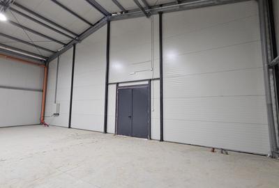 Hale noi in zona industriala Progresul, Jilava - 4