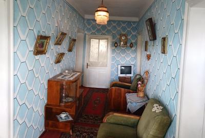 Harsova-CETATEA CARSIUM- casa boiereasca - 10