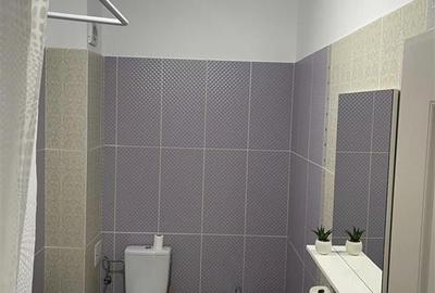 Apartament 2 camere mobilat- Visoianu - 5