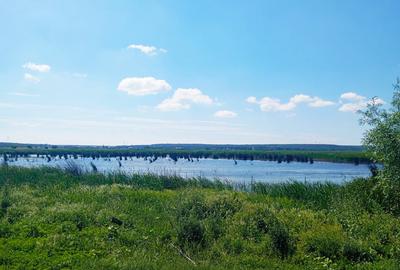 Teren Construcții intravilan de 4000 mp, în Budeni