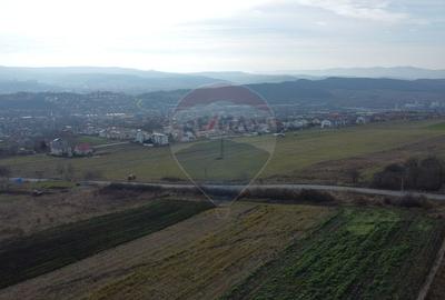 Teren 19.375 mp Dâmbu Rotund. Potențial rezidențial. Extravilan - 13