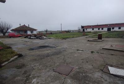 Teren industrial intravilan Ovidiu - 5
