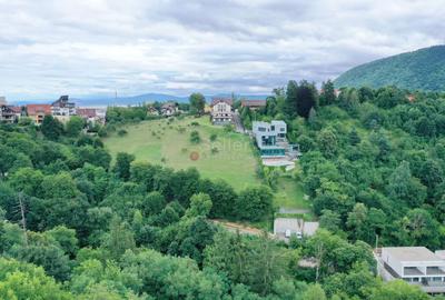 Teren Intravilan - Vedere Panoramica - 18