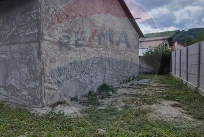 Spațiu industrial/hala de  vanzare - Piatra Neamt - 4