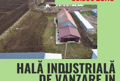 Hală industrială de vânzare în Cernat! - 1