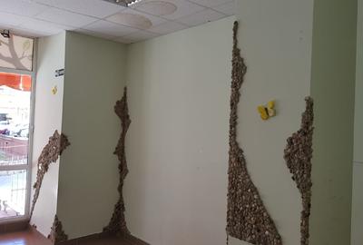 Inchiriez spatiu comercial Exercitiu - 6