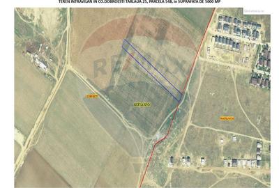 Teren 5,000mp Dobroesti / None - 4