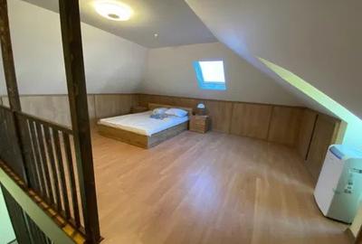 Apartament cu 2 camere, la vila, PET FRIENDLY, LOC PARCARE INCLUS,  zona Bucium - 4