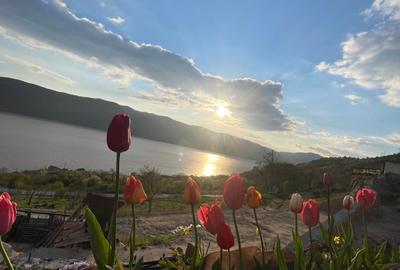 Svinita, teren la Dunare - 1