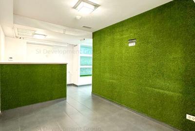 Cladire comerciala stradala | Regim S+P+1 | Pozitie premium – Baba Novac - 4