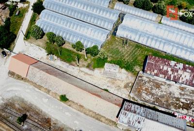 COMISION 0% Spatiu industrial de 695 mp si teren de 1821 mp - Giulvaz - 4