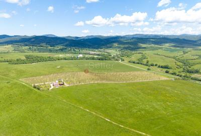 PROPRIETATE CU LIVADA MATURA DE NUCI SI POTENTIAL INVESTITIONAL - 93
