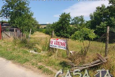 Teren Intravilan (3550 mp), Frasinetului - Preajba - 1