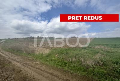 Teren intravilan  4600mp cu deschidere la drum 37ml in Sura Mare Sibiu - 1