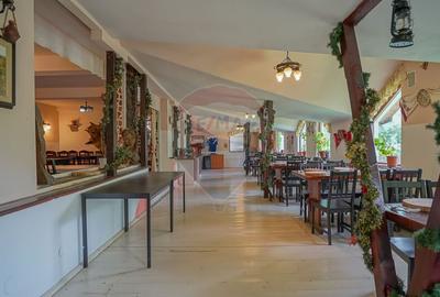 COMPLEX HOTELIER POTENTIAL EXTINDERE | PREDEAL CIOPLEA | 2734 MP TEREN - 7
