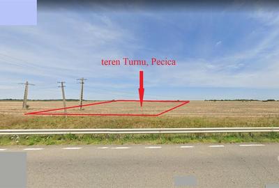 122 ari in Turnu, front 60 m la DN 7B, 15 km de Arad, 1 km de vama - 8