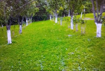 Vanc casa cu teren intravilan - 12